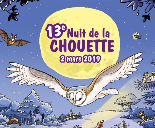 La Nuit de la Chouette en région Occitanie et Pays catalan - LPO Occitanie