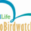 Le 26ème Eurobirdwatch avec la LPO en région Occitanie