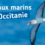 Un nouvel outil pédagogique sur les oiseaux marins de Méditerranée