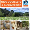 Nids douillets et biodiversité : la LPO accompagne les propriétaires d’hébergements de tourisme en région Occitanie et Pays catalan