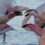Le survol illégal de Flamants roses partiellement sanctionné par la justice