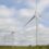 Deux parcs éoliens condamnés pour destruction d’oiseaux protégés dans l’Hérault