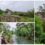 Journée Internationale de la Biodiversité : zoom sur la propriété LPO de La Roque Bernard dans le Gard