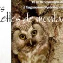 Les petites chouettes de montagne à l’honneur en Pays catalan