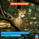 Giving tuesday : soutenez la LPO en région Occitanie et Pays catalan !