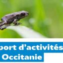 Consultez le rapport d’activités régional 2025 de la LPO Occitanie